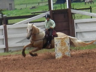 REY CROMO